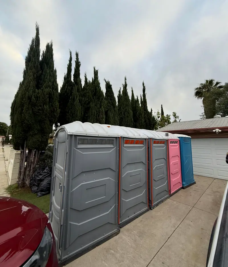 Row of grey, red and pink porta potties along a home driveway